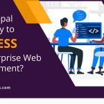 Why Drupal is the Key To Success for Enterprise Web Development
