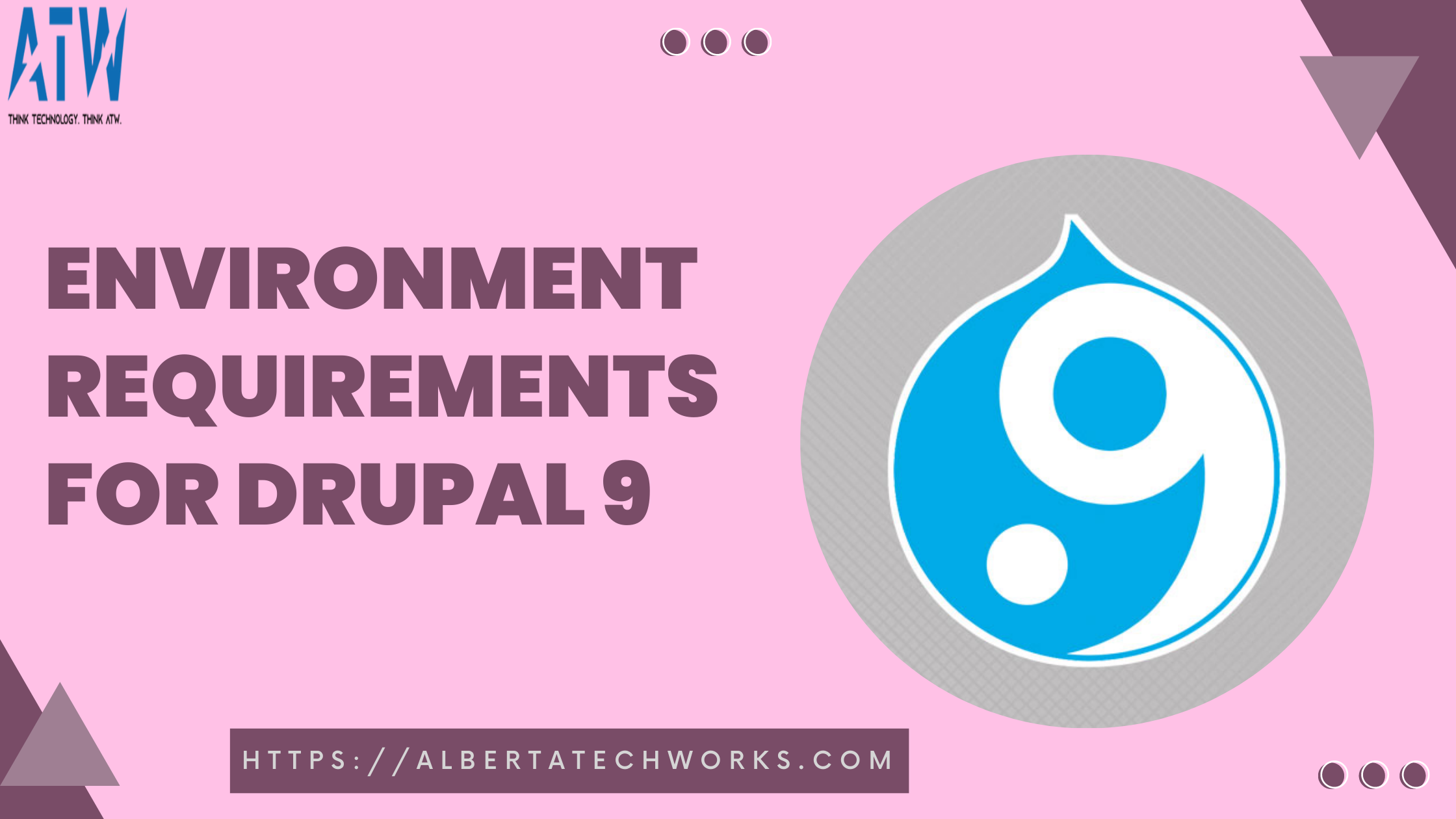 Environment Requirements For Drupal 9