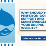 Why Should You Prefer On-Going Support and Maintenance For Your Drupal Website